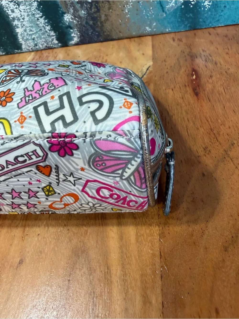 Coach Y2K 2010 Rare Highly Collectible Poppy Graffiti Butterfly Cosmetic Case